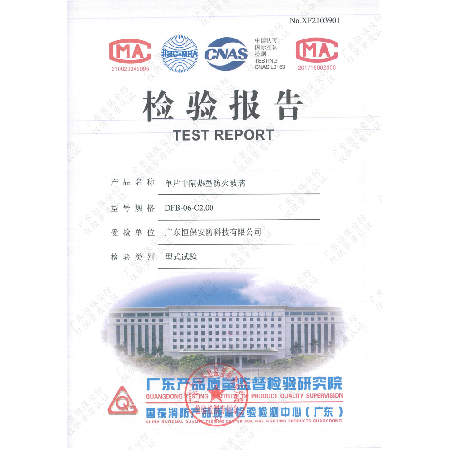 DFB-06-C2.00 06mm高硼硅防火玻璃 報(bào)告（廣東恒保安防）
